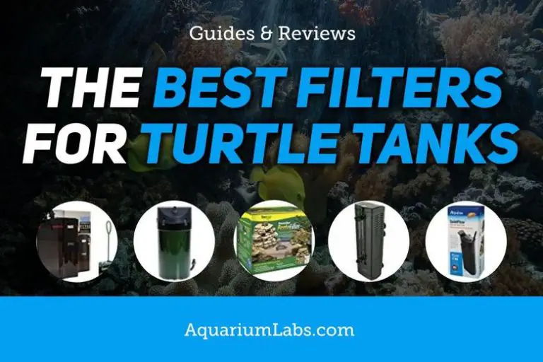 9 Best Filters for Turtle Tanks [Top 2024 Picks & Reviews]