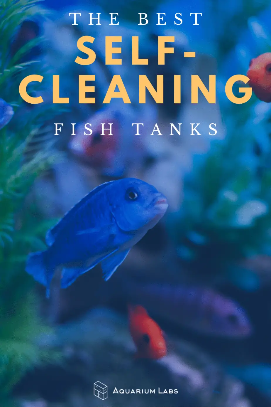 best self cleaning fish tanks