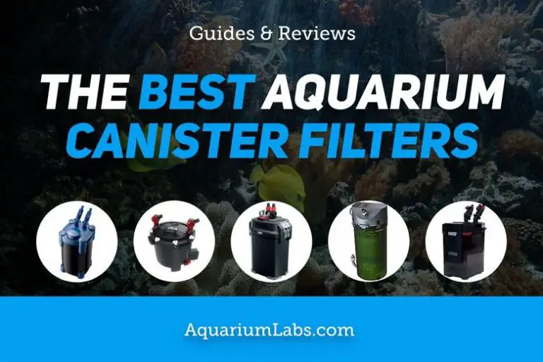 9 Best Canister Filters for Aquariums [2023 Reviews & Guide] Aquarium