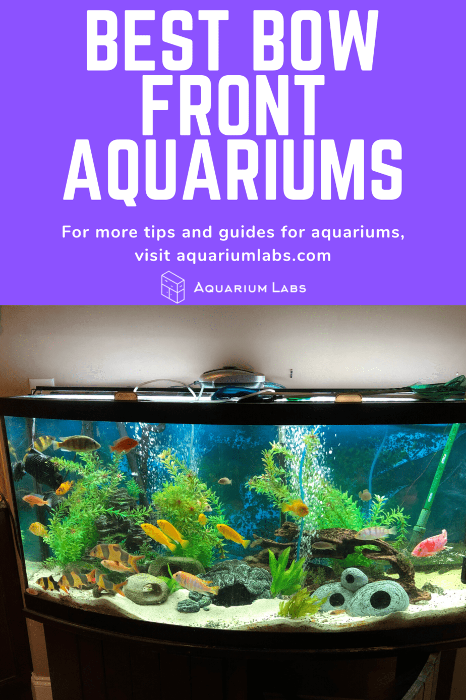 best bow front aquariums pin 1