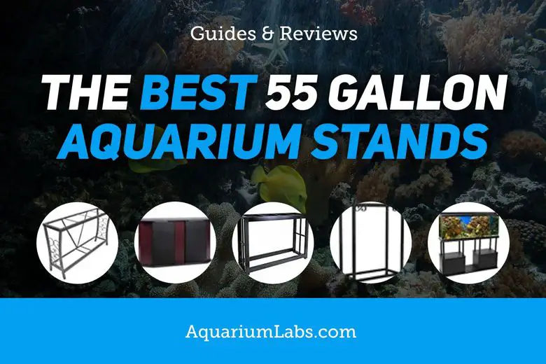 55 Gallon Aquarium Stand