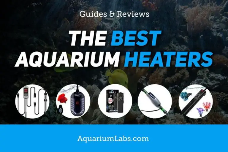 The Best Aquarium Heaters of 2023 (Reviews & Top Pick)