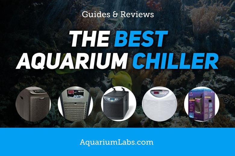 Best Aquarium Water Chiller