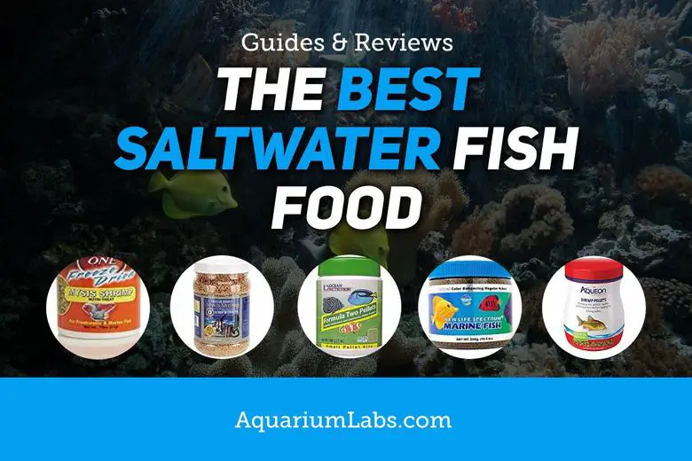 Best Saltwater Fish Food