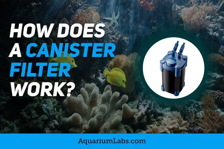 How Does a Canister Filter Work