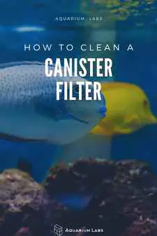 How to Clean a Canister Filter