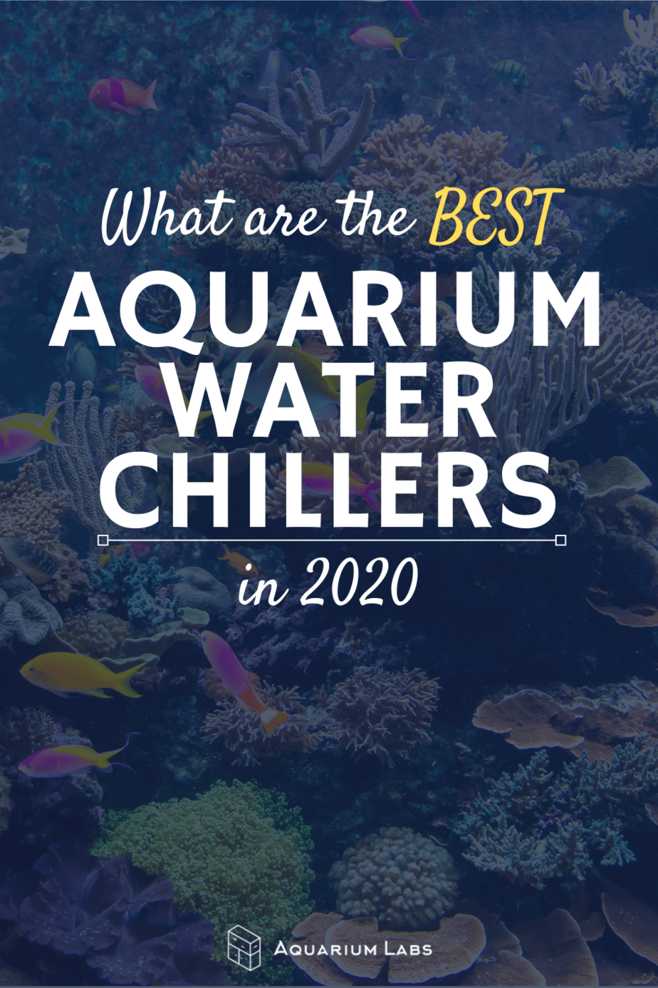 best aquarium water chillers