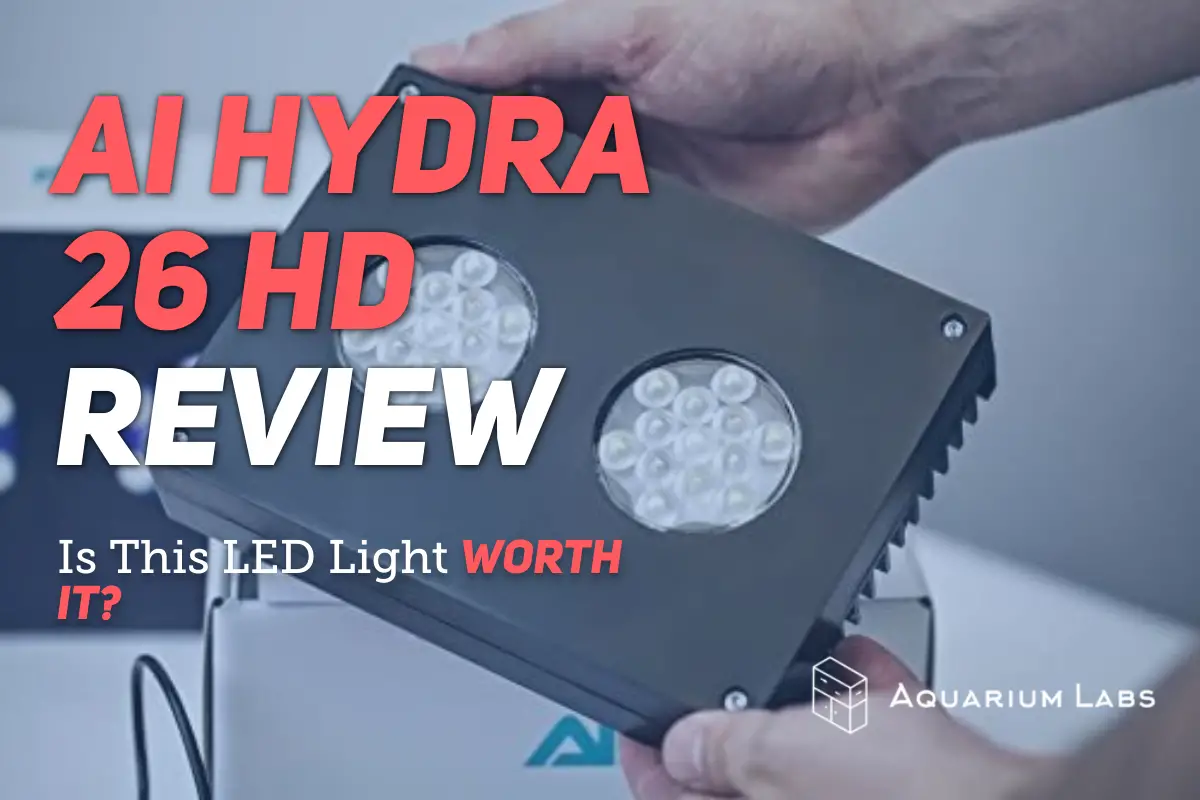 AI Hydra 26 Review