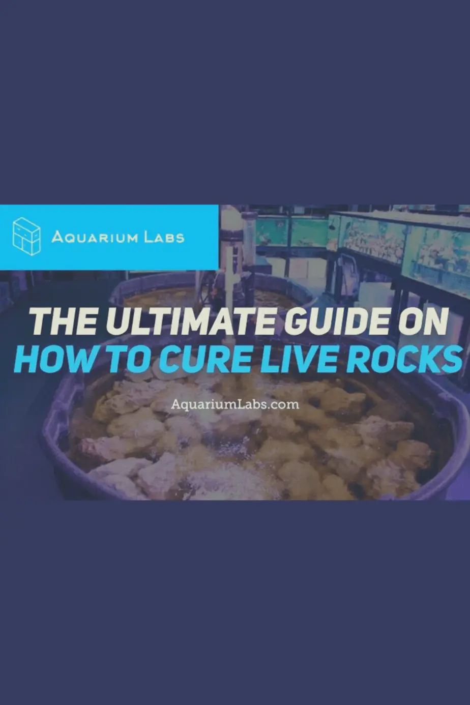 how to cure live rocks