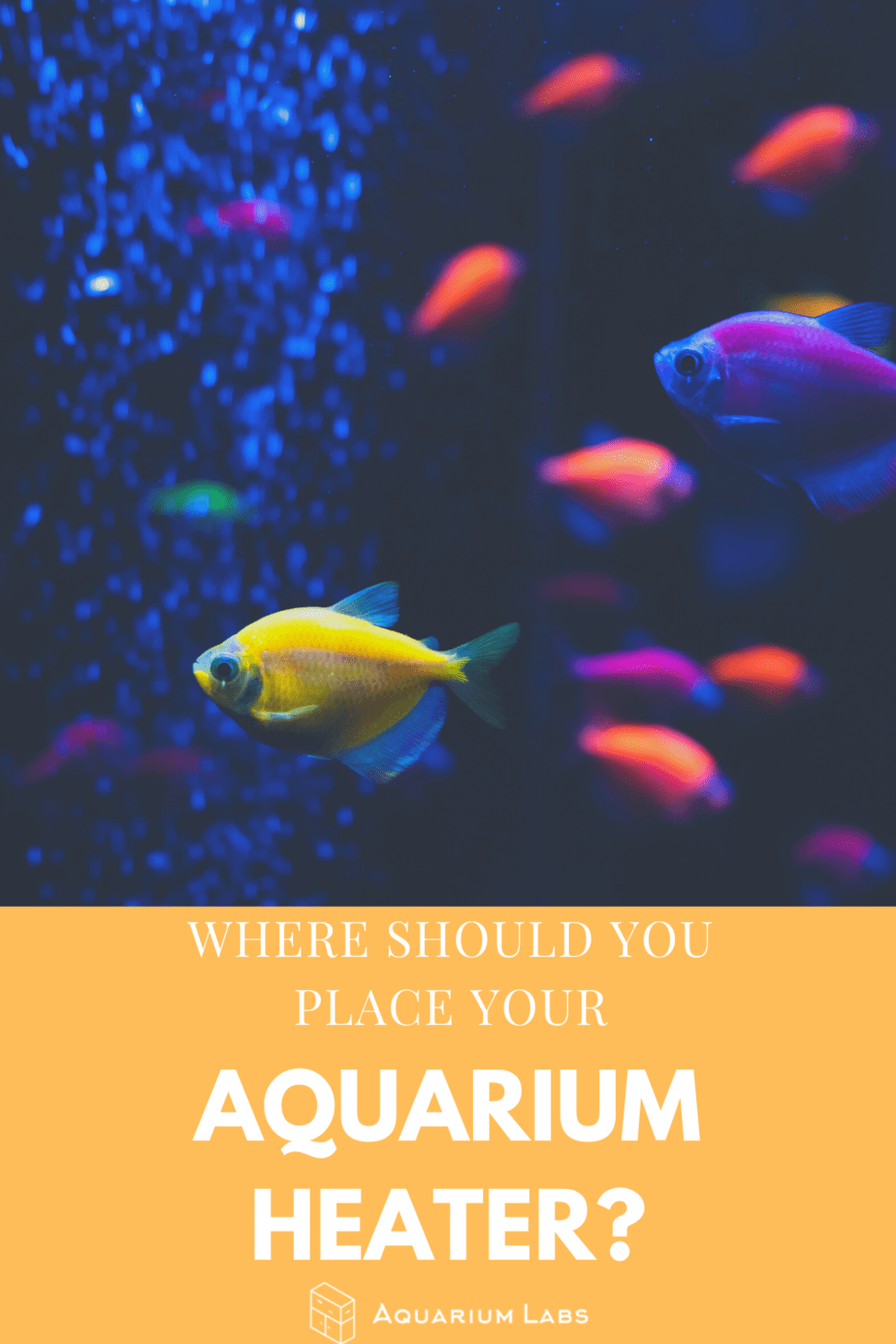 where should you place your aquarium heater