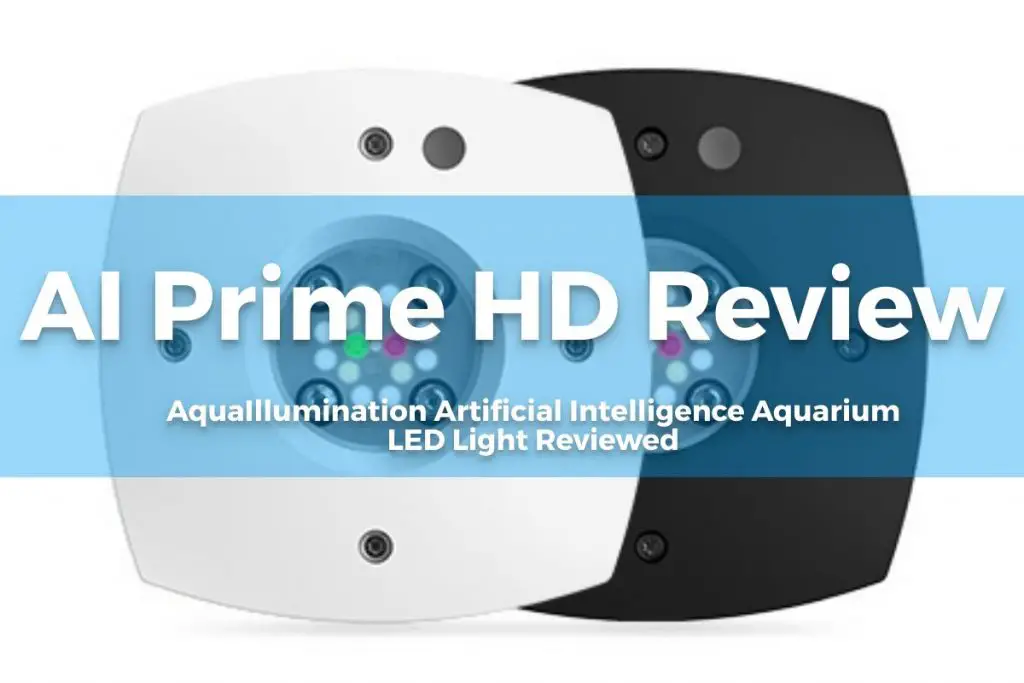AI Prime HD Review - Featured Image