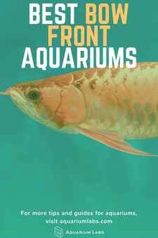 best bow front aquarium fish tank