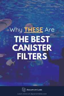 best canister filter