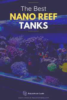 nano saltwater tank guide