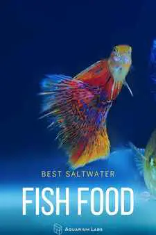Best Saltwater Fish Food