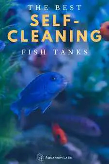 self cleaning fish tank guide
