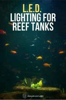 best led lighting for reef tank