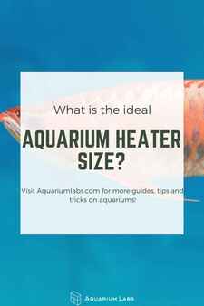 What is the Ideal Aquarium Heater Size