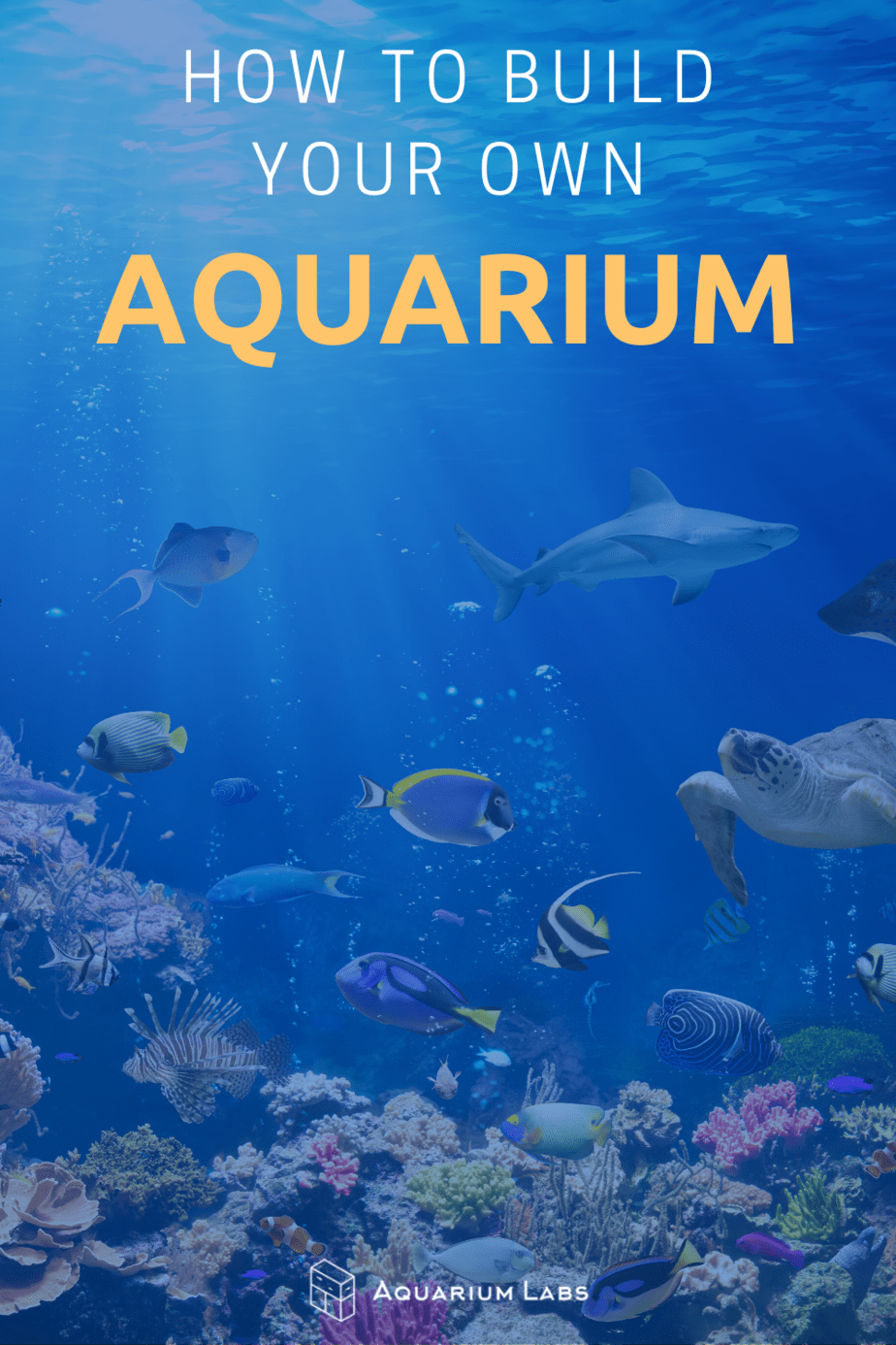 diy aquarium