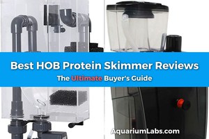 best hob protein skimmer
