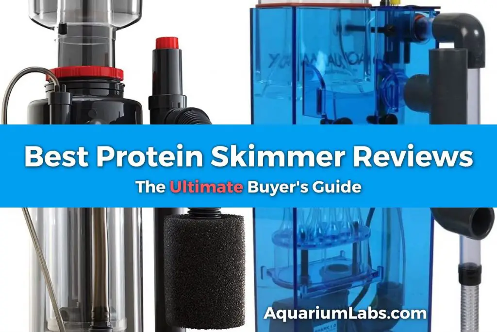 Best Protein Skimmer Reviews [2024] Buyer's Guide & Top Picks