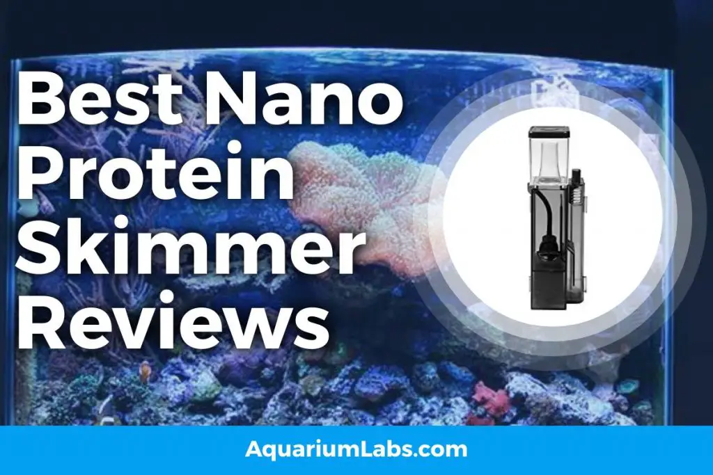 7 Best Nano Protein Skimmer Buyer's Guide [2024 Reviews]