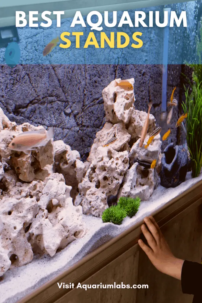 Best Aquarium Stands - Pinterest Share Image