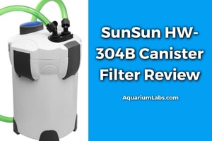 SunSun HW-304B Pro Canister Filter Review Blog Image