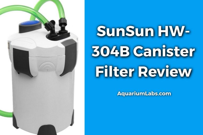 SunSun Canister Filter Review Aquarium Labs