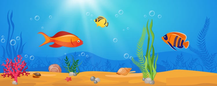 saltwater aquariums