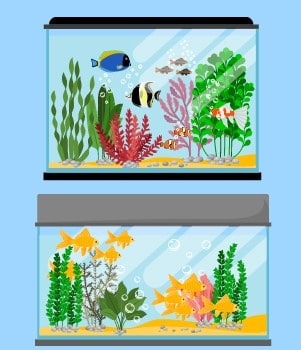 reef tank