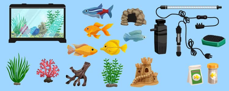aquarium equipment
