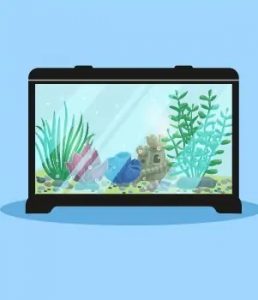 How to Set Up a Saltwater Aquarium Ultimate Guide