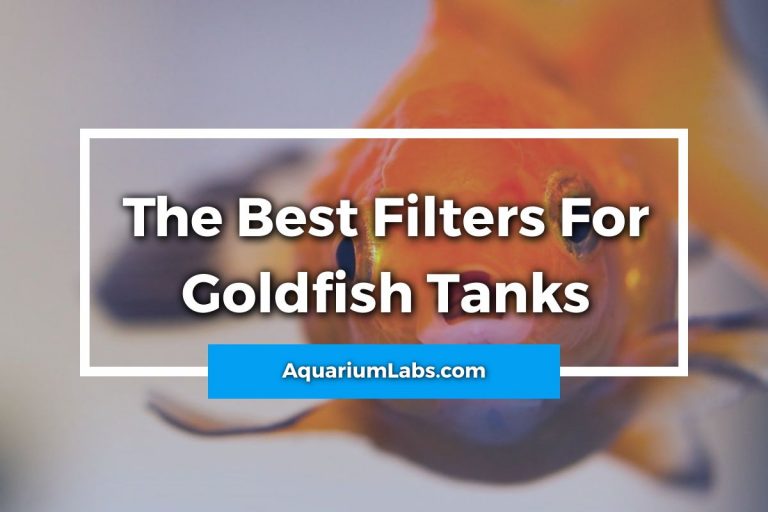 7 Best Filters for Goldfish Tanks [2023 Reviews & Guide]