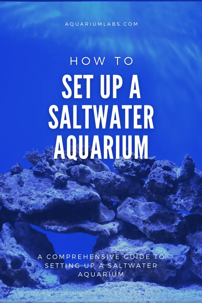 How to Setup a Saltwater Aquarium - Pinterest Share Image