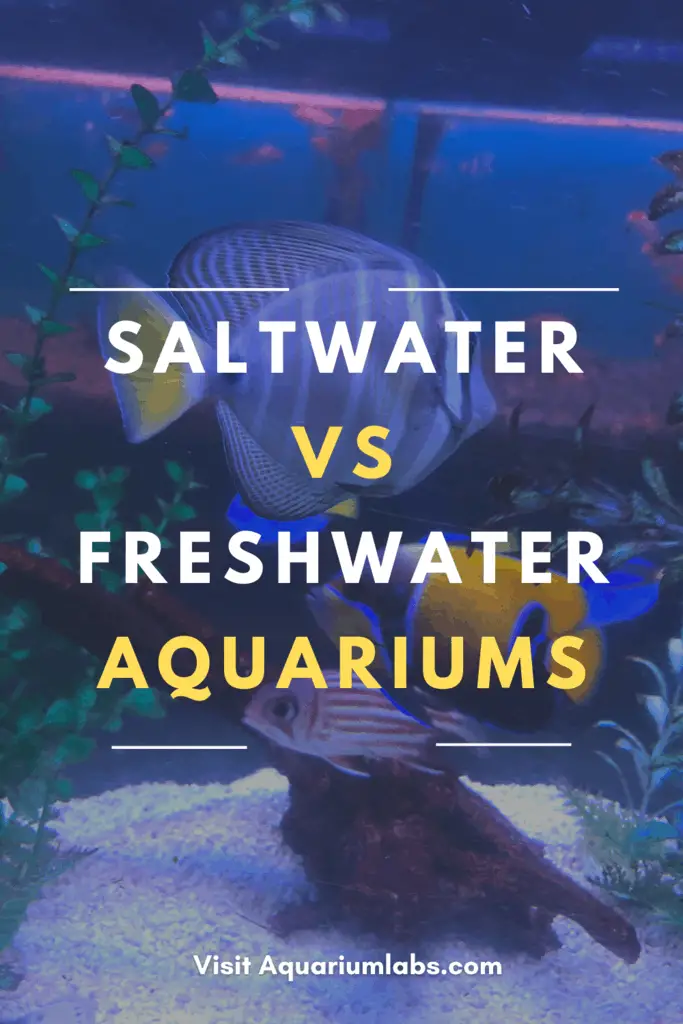 Saltwater vs Freshwater Aquariums - Pinterest Share Image