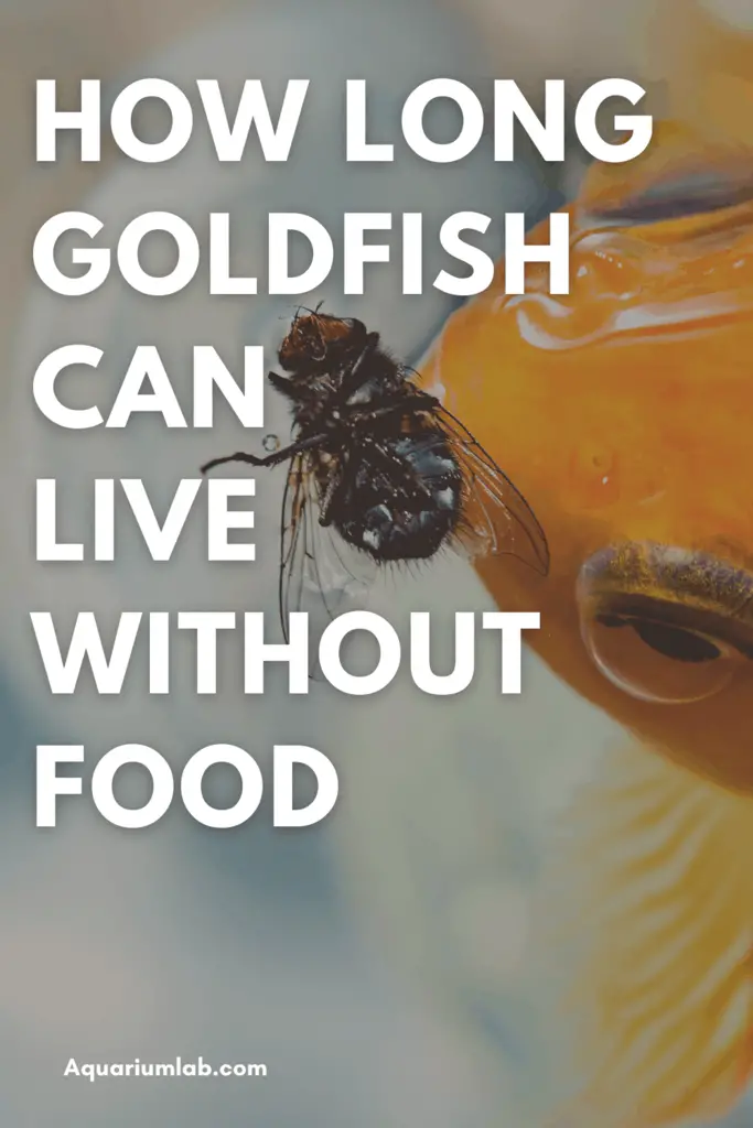 How Long Goldfish Can Survive Without Food Pinterest Image