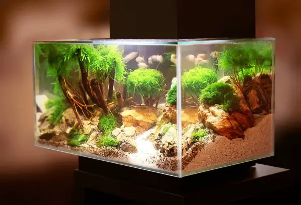 aquarium lighting