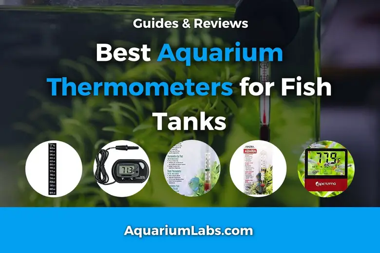 Best Aquarium Heaters