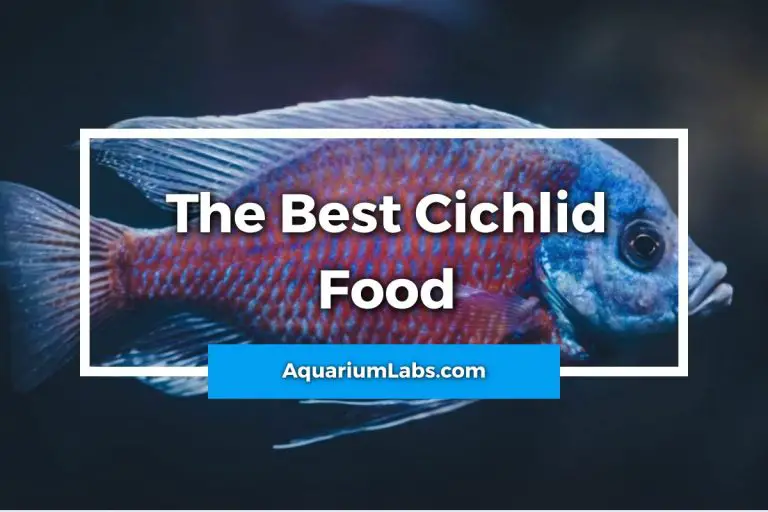 11 Best Cichlid Foods of 2023 for Optimal Growth, Color, and Health