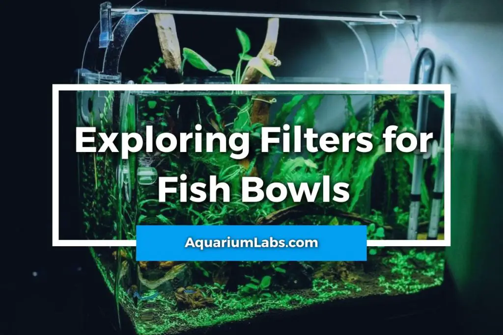 Exploring Filters for Fish Bowls - Featured Image