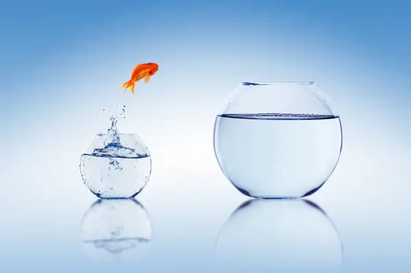 a goldfish jumping from a small aquarium to a larger one