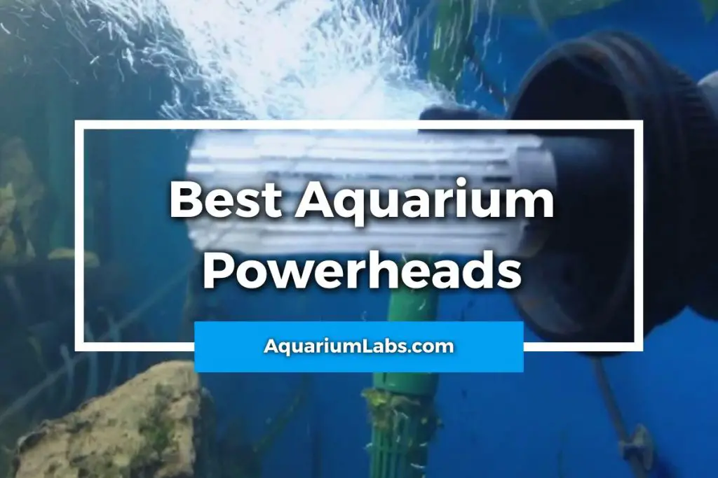 Best Aquarium Powerhead Featured Image
