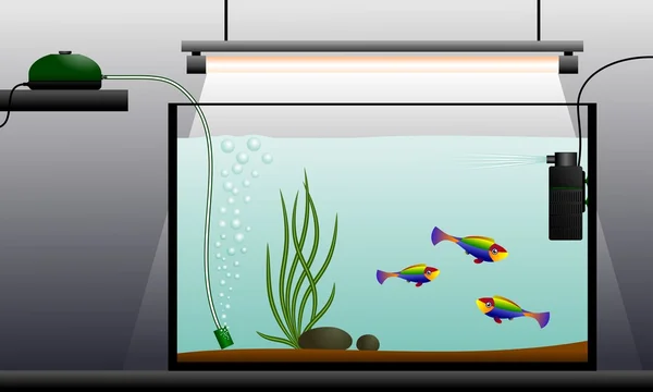 Aquarium Illustation