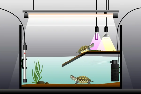 Aquarium for fish and 2024 turtles