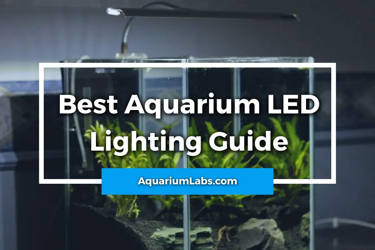 Best Aquarium LED Lighting - Featured Image
