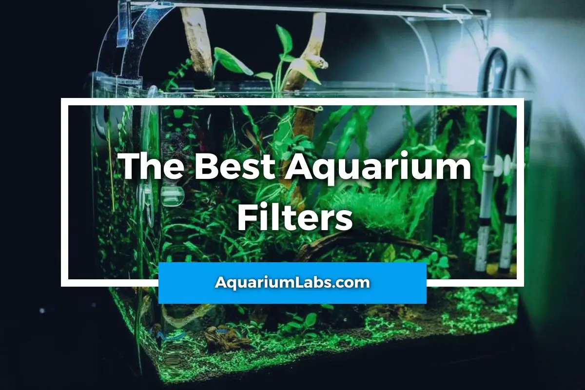 The Best Aquarium Filters - Featured Image