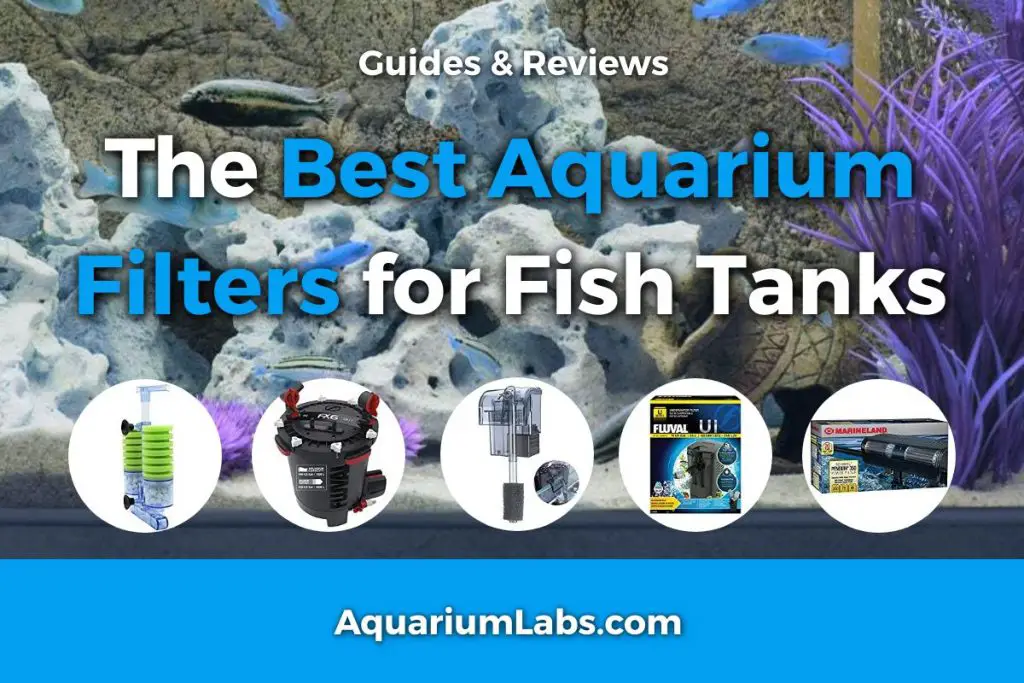 Best Aquarium Filters Featured Image