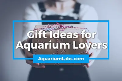 17 Gifts for Aquarium Lovers – Gift Ideas for Fish Tank Hobbyists