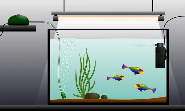 Illustration of an aquarium with filter